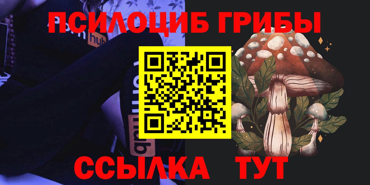 Псилоцибиновые грибы GOLDEN TEACHER  Вход с VPN  наркота  Галлюциногенные грибы прущие грибы  Будённовск 